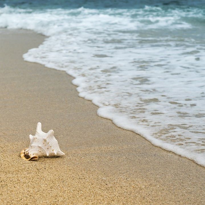6. Master-PEACE Circle: Beach Visualization: Exploring the Senses with Gratitude