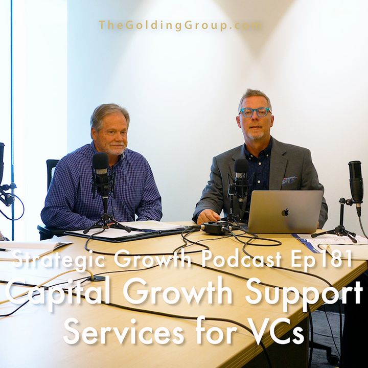 Capital Growth Support Services For Venture Investors and Startups