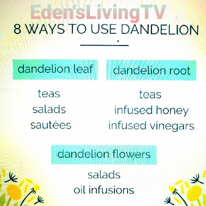 Dandelions * 8 WAYS to USE for HEALTH