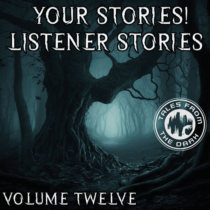 YOUR STORIES! Listener Stories 12
