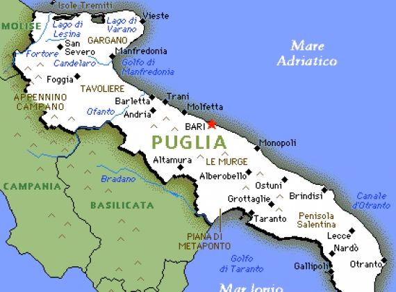 Puglia notizie 29 novembre