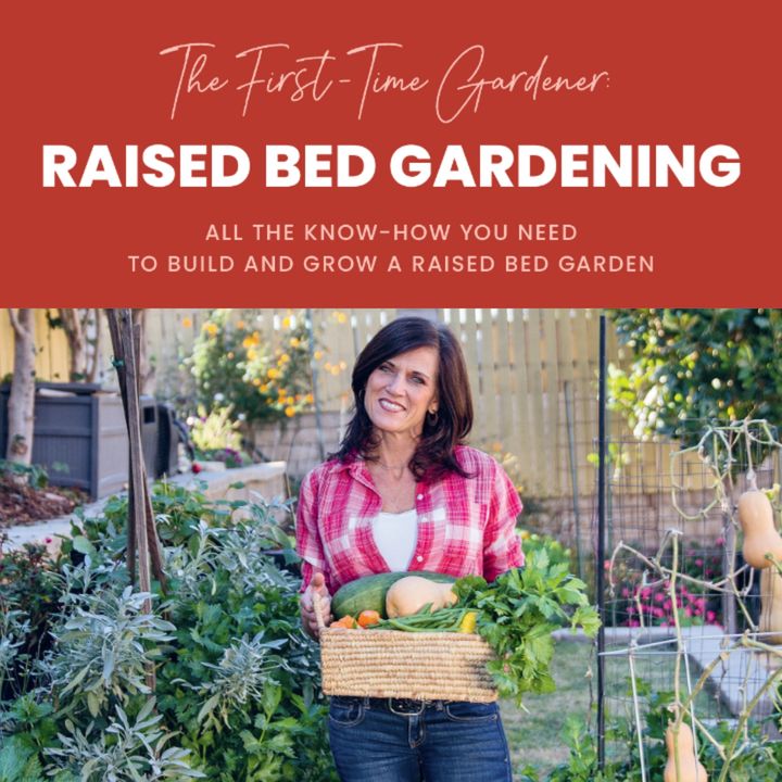 CaliKim - Raised Bed Vegetable Gardening