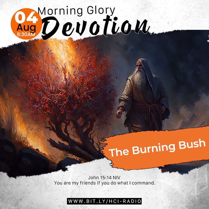 MGD: The Burning Bush