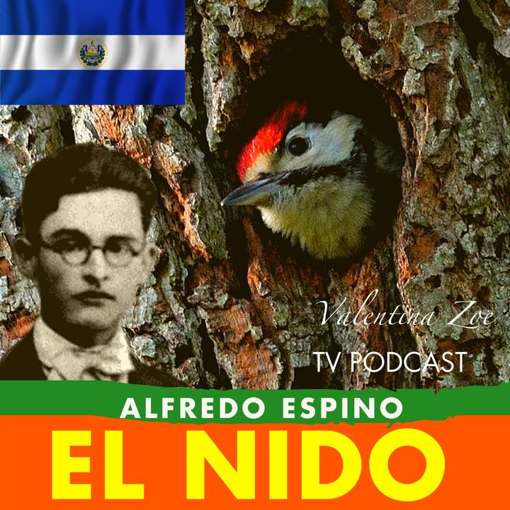EL NIDO Alfredo Espino🐦🌲 | El Nido Poema de Alfredo Espino🌄 | Poemas de Alfredo Espino Valentina