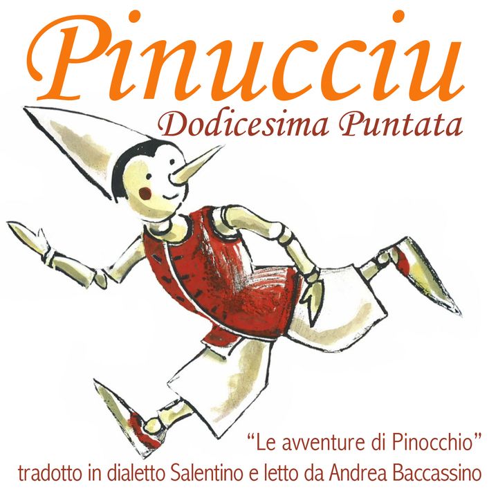 Pinucciu Dodicesima Puntata