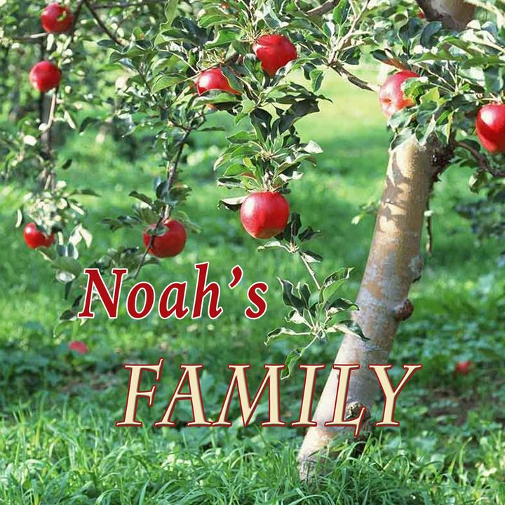 Noah's Family, Genesis 9:18-20