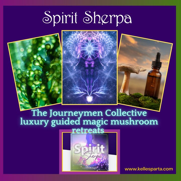 The Journeymen Collective - The Company Creating Luxury Guided Magic Mushroom Retreats with Robert Grover & Gary Logan