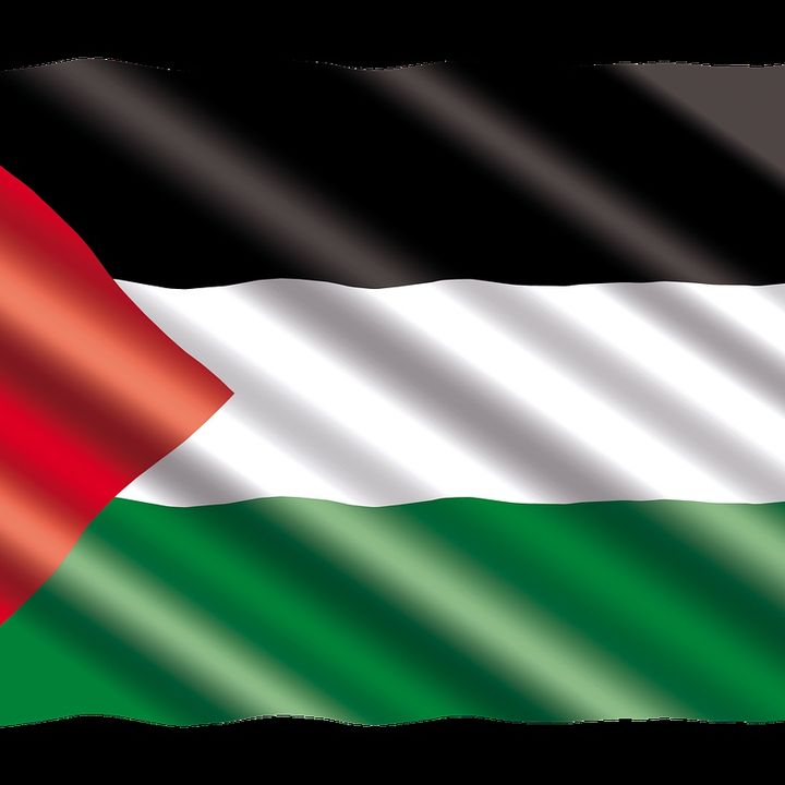 P for Palestine