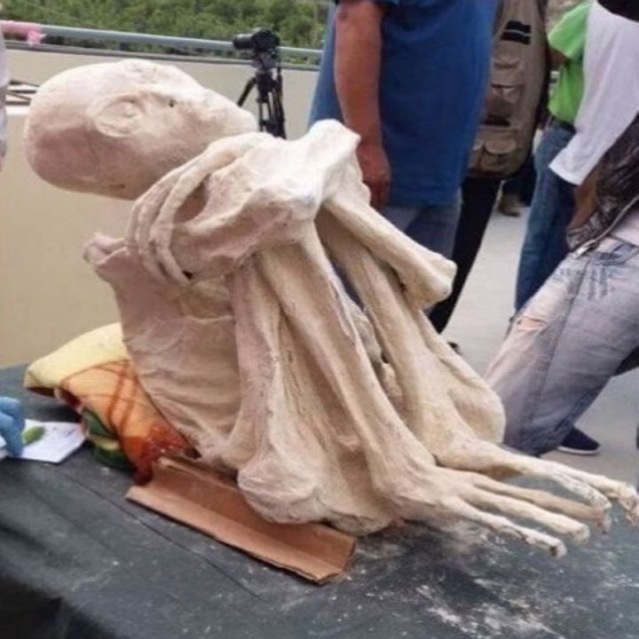 ALIEN SCAMMERS using human remains? The "ALIEN" mummies of Peru.