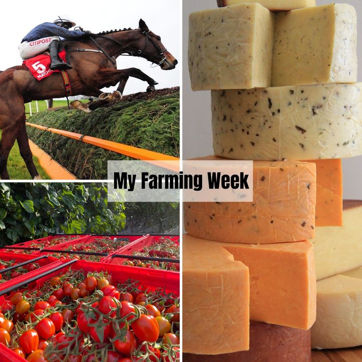 My Farming Week - Fitzgerald’s Open-Source Dairy Farm
