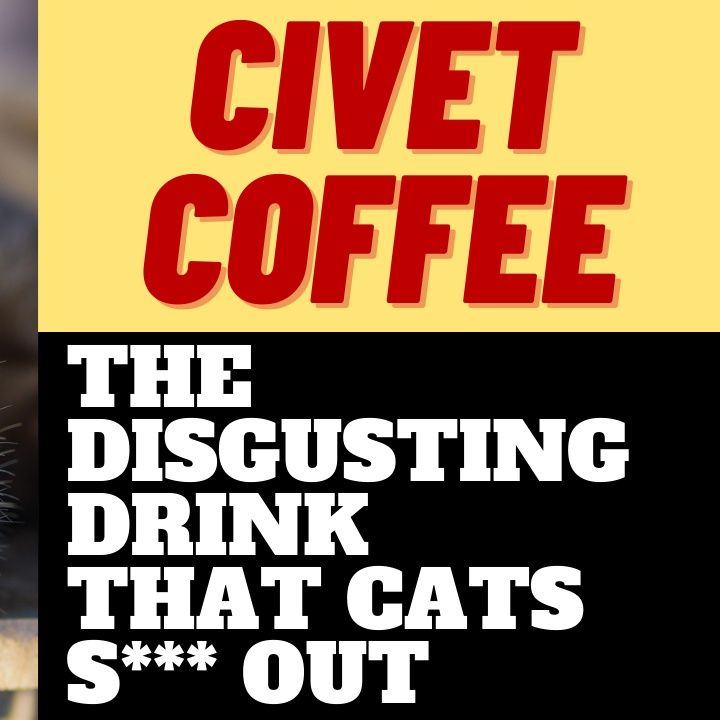 THE DISGUSTING LUXURY COFFEE MADE FROM CAT S***
