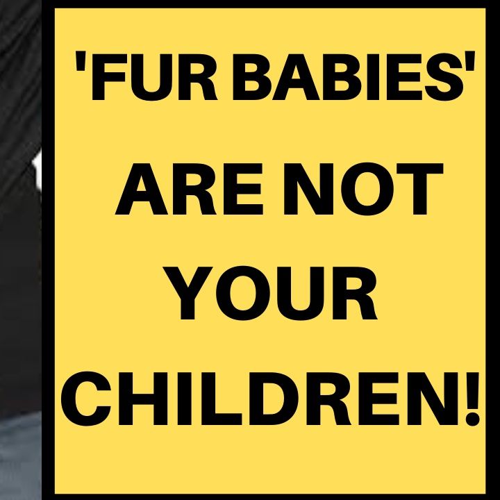 YOUR 'FUR BABY' IS NOT ACTUALLY YOUR CHILD