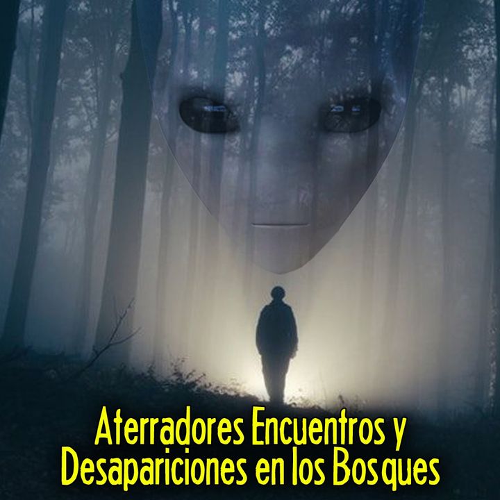 Terroríficos encuentros y desapariciones en los bosques