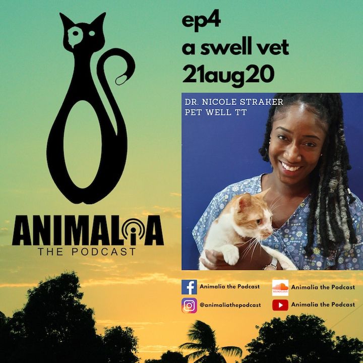 ANIMALIA 04 - A Swell Vet - 21Aug20