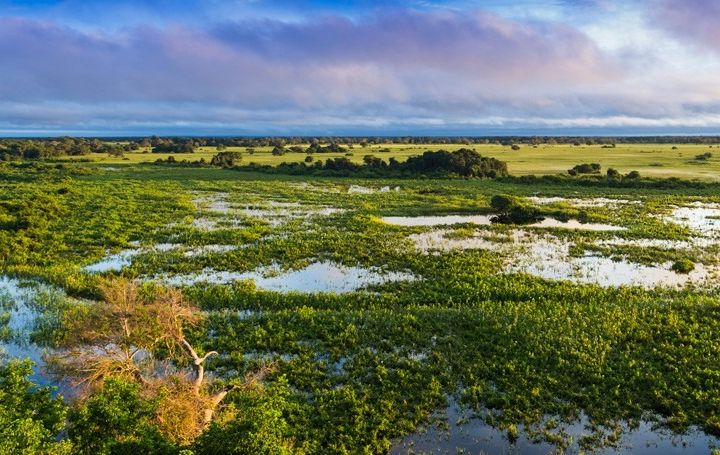 CIENCIAS DE LA TIERRA