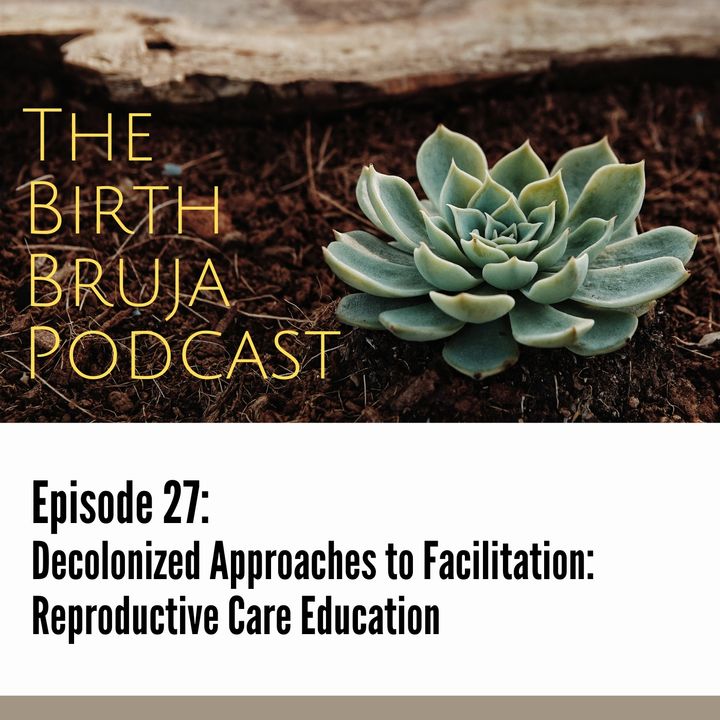 Ep. 27 | Decolonized Approaches to Facilitation: Reproductive Care Education