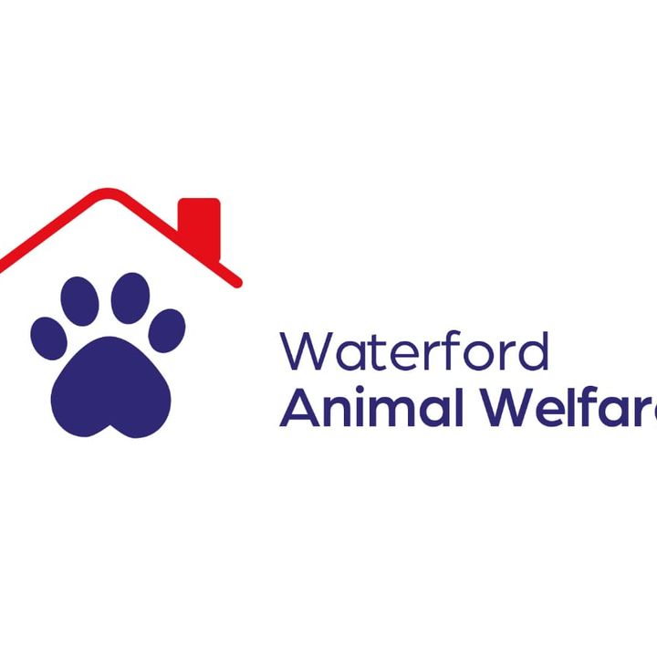 "Paw4Waw" is an initiative that's raising money for Waterford Animal Welfare