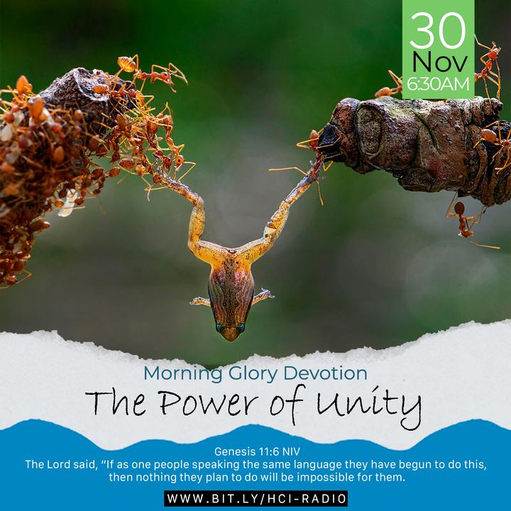 MGD: The Power of Unity