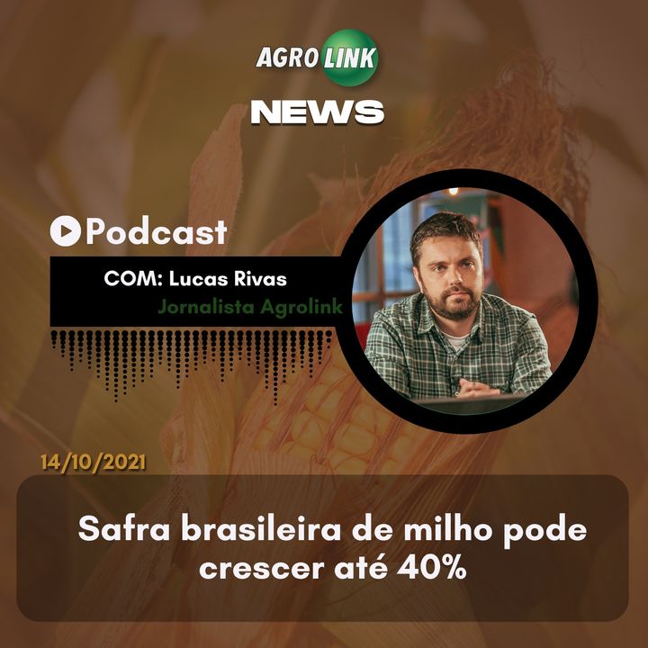 Podcast: Brasil registra um caso de Peste Suína Clássica