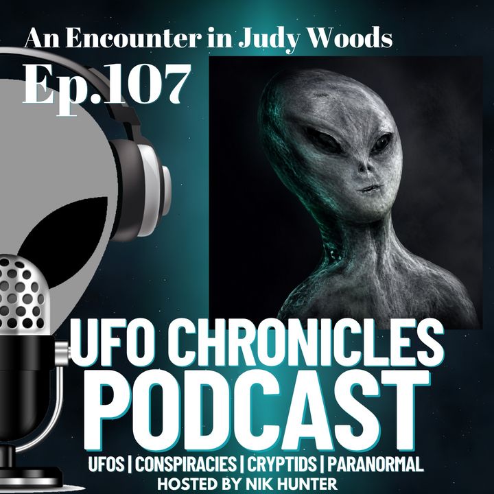 Ep.107 An Encounter in Judy Woods artwork