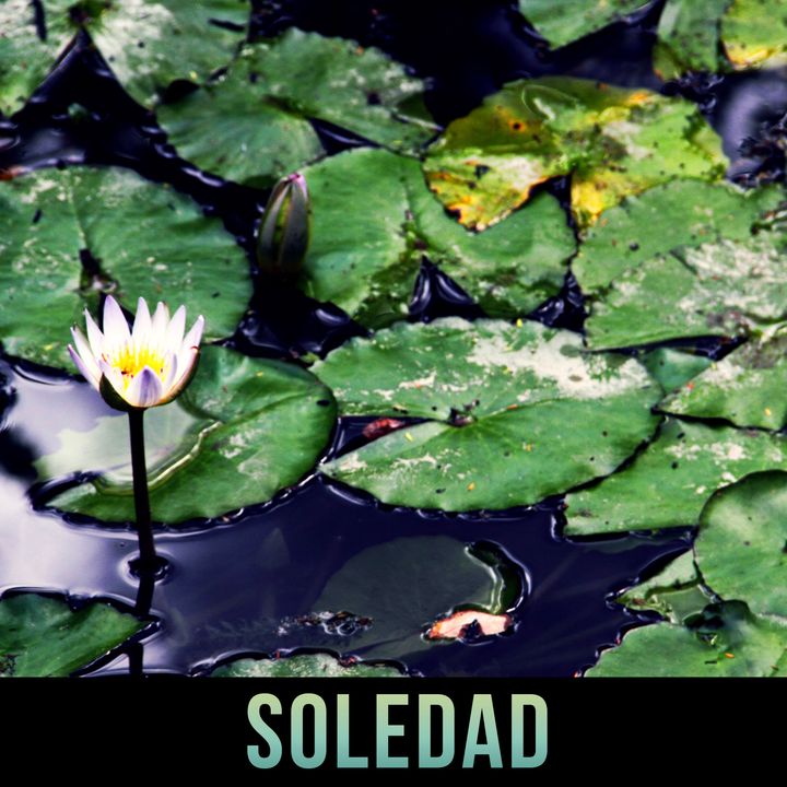 Episodio 3: Soledad