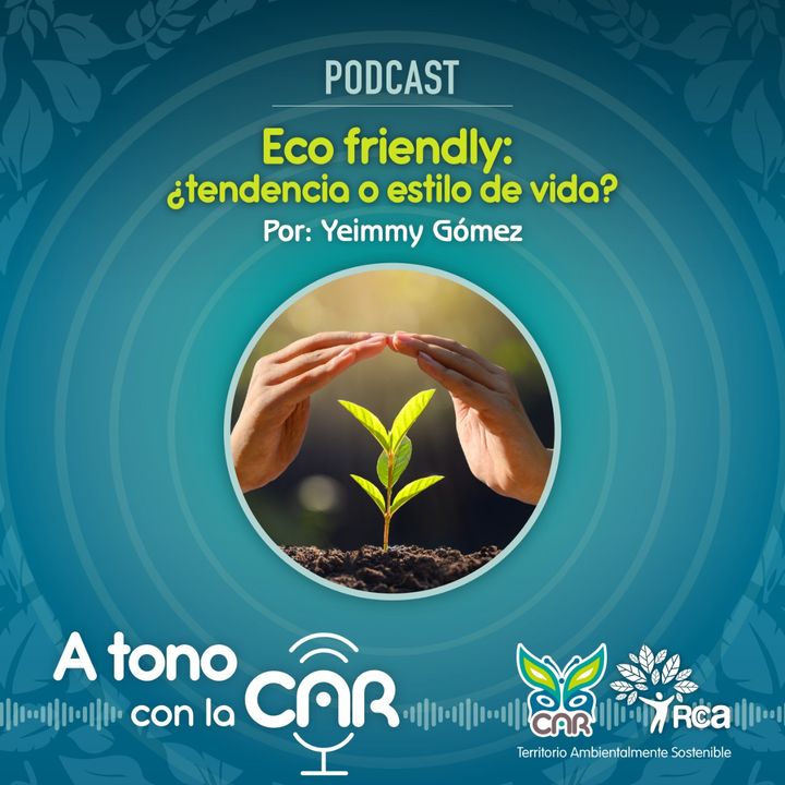 Eco friendly: ¿tendencia o estilo de vida?
