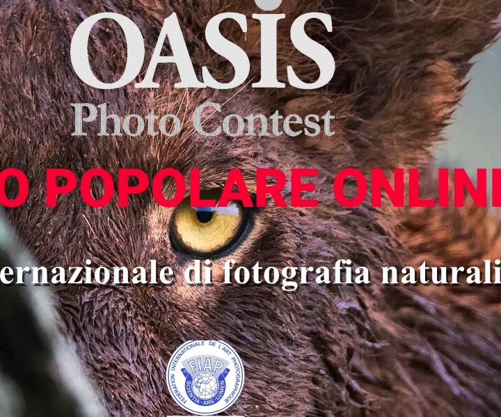 OASIS PHOTO CONTEST