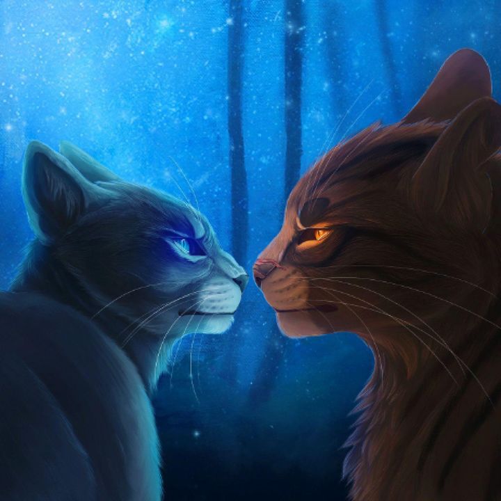 Warrior Cats: What is That? Podcast