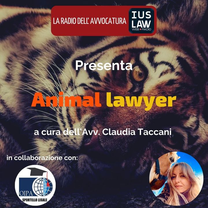 Animal Lawyer