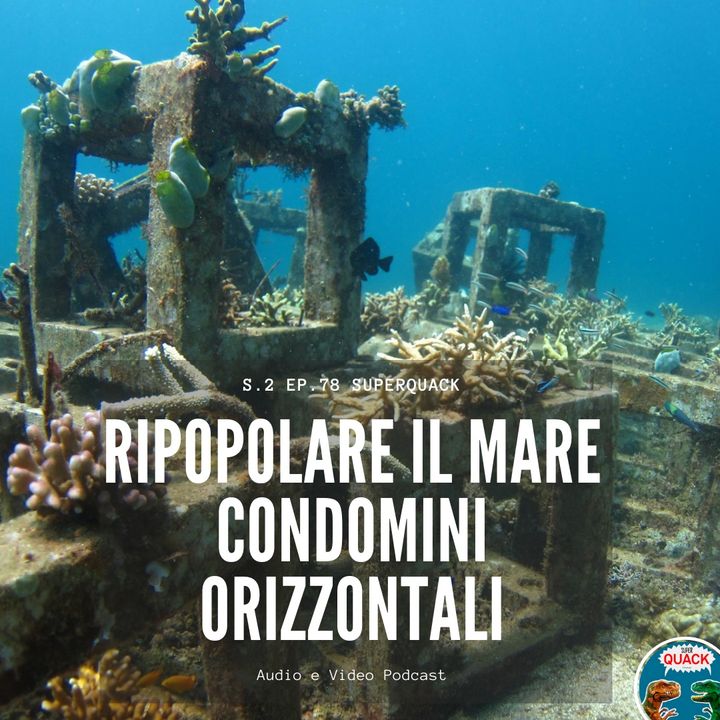 78 - ARTIFICIAL REEF: Ricolonizzare il mare con i condomini orizzontali, con Francesco Simonetta