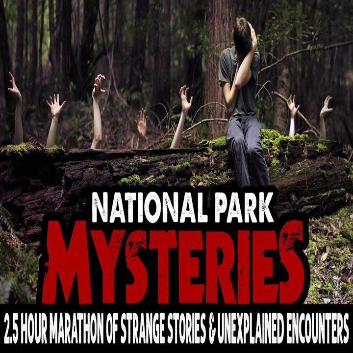 2.5 Hour Marathon of Strange & Unexplained Encounters in the Woods | Volumes 16-20