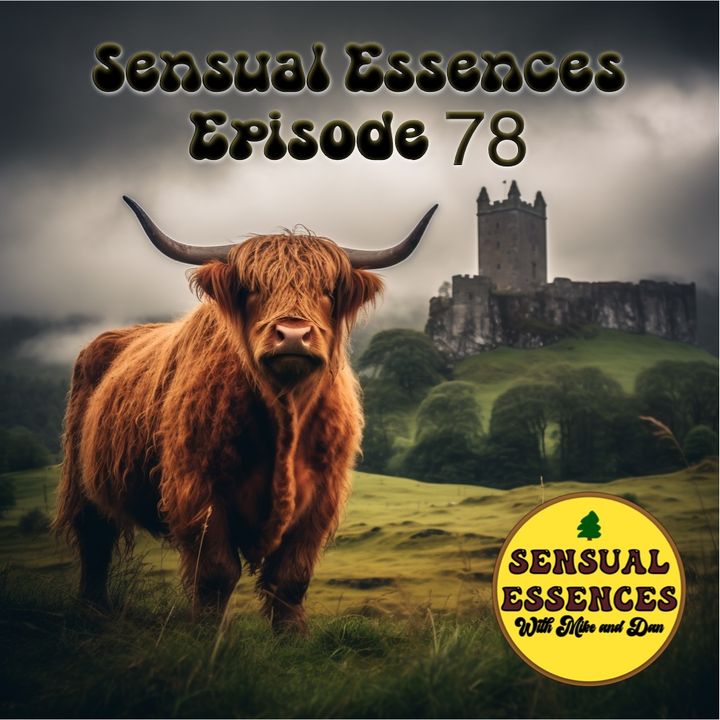Sensual Essences 78