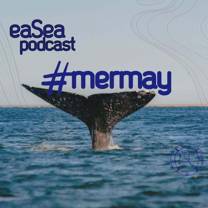 ep 8 #mermay