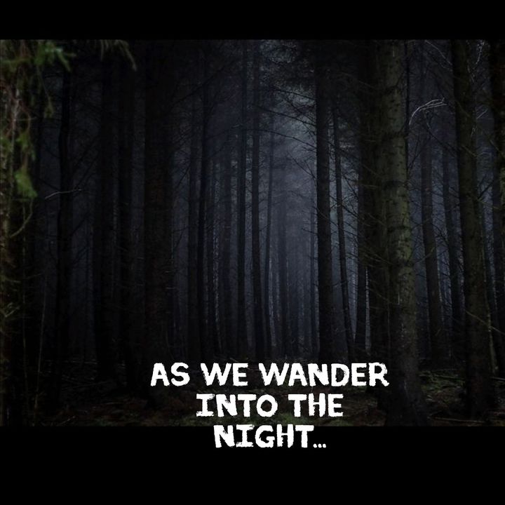 As we wander into the night