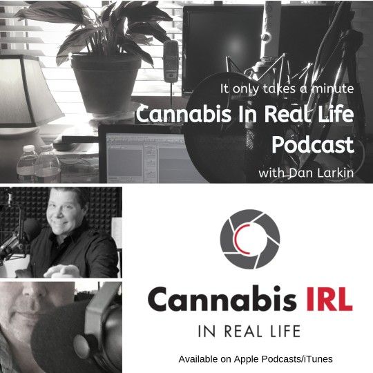 Cannabis In Real Life Podcast with Dan Larkin- 025