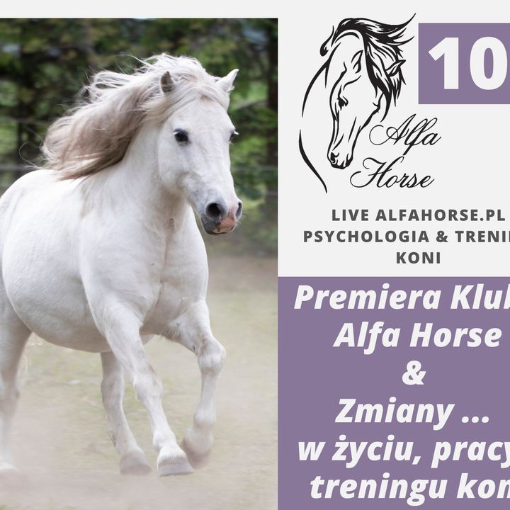 Live 108: Klub Alfa Horse oraz Zmiany w życiu, pracy i treningach