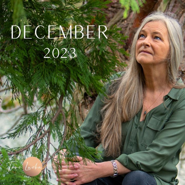 Forudsigelse for december 2023 - med inspiration og gode råd til månedens energier