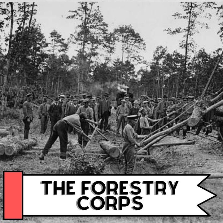 The Canadian Forestry Corps Of World War One
