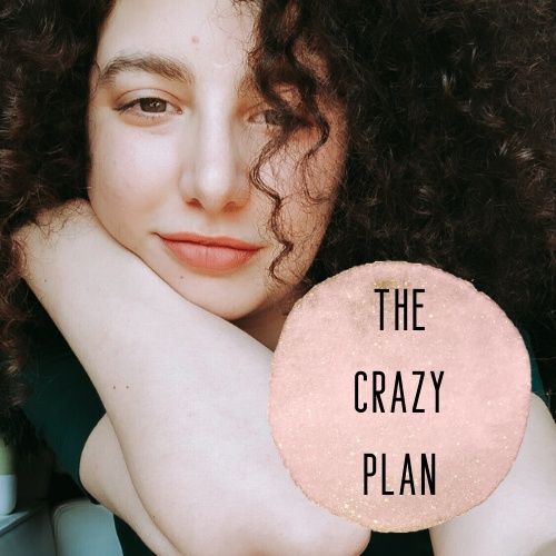 The Crazy Plan by Giulia Viti