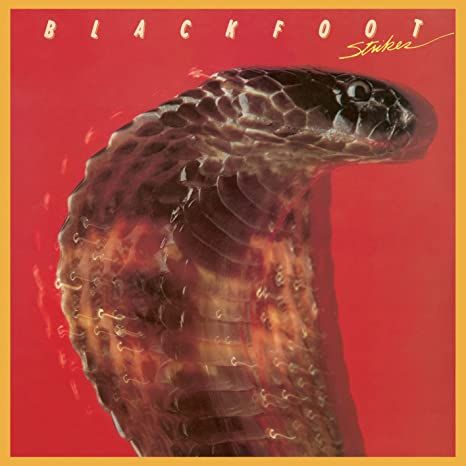 I Vinili di un Gonzo: Strikes dei Blackfoot, tutta la potenza del Southern Rock