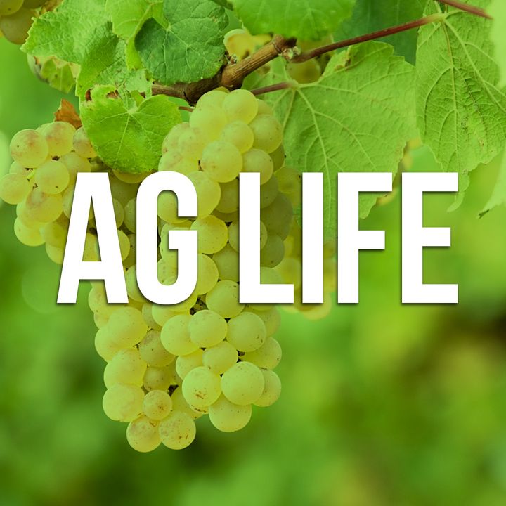 Ag Life Tuesday - March 19, 2019