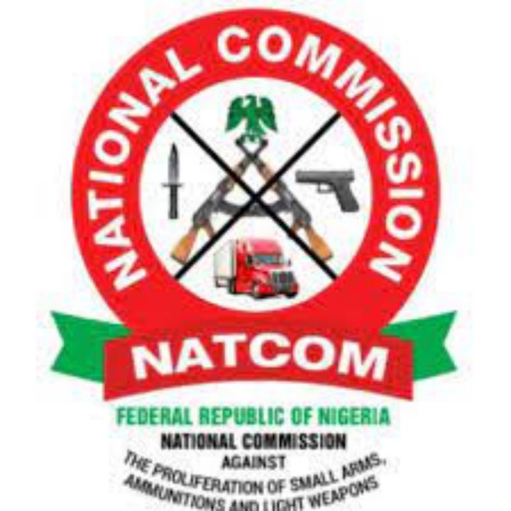 NATCOM, other agencies to train, employ qualified Nigerians across states on illegal weaponry