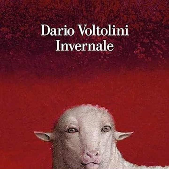 Diamoci del book Mimmo Moramarco - Dario Voltolini 'Invernale'