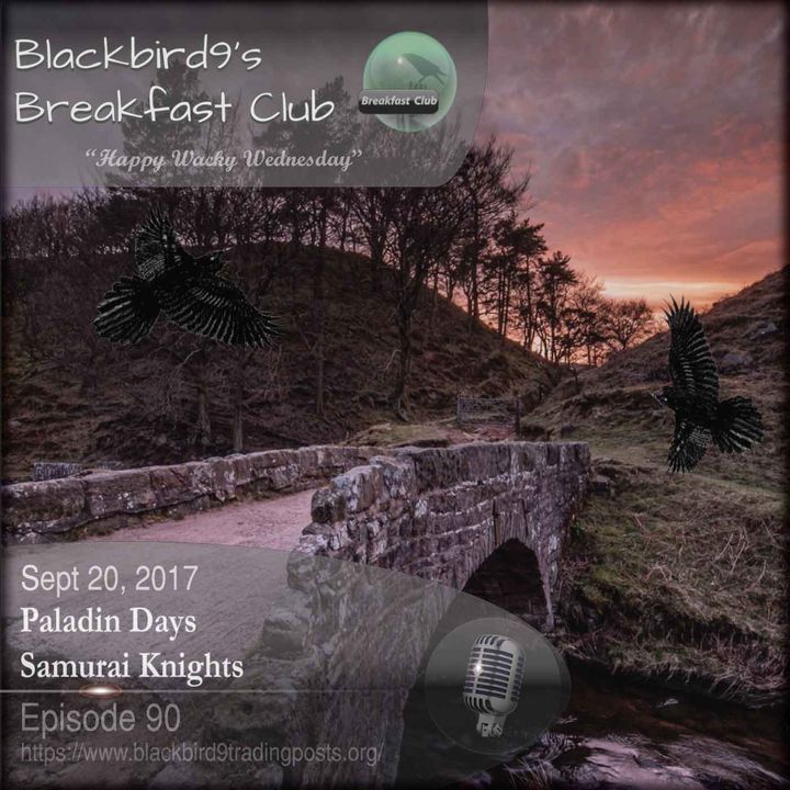 Paladin Days Samurai Knights - Blackbird9 Podcast