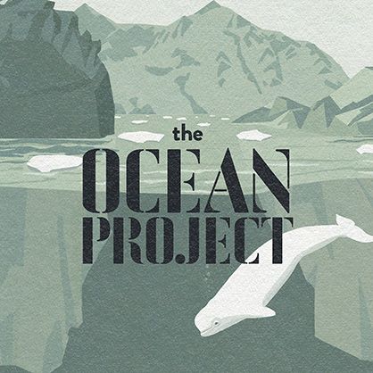 the OCEAN PROJECT