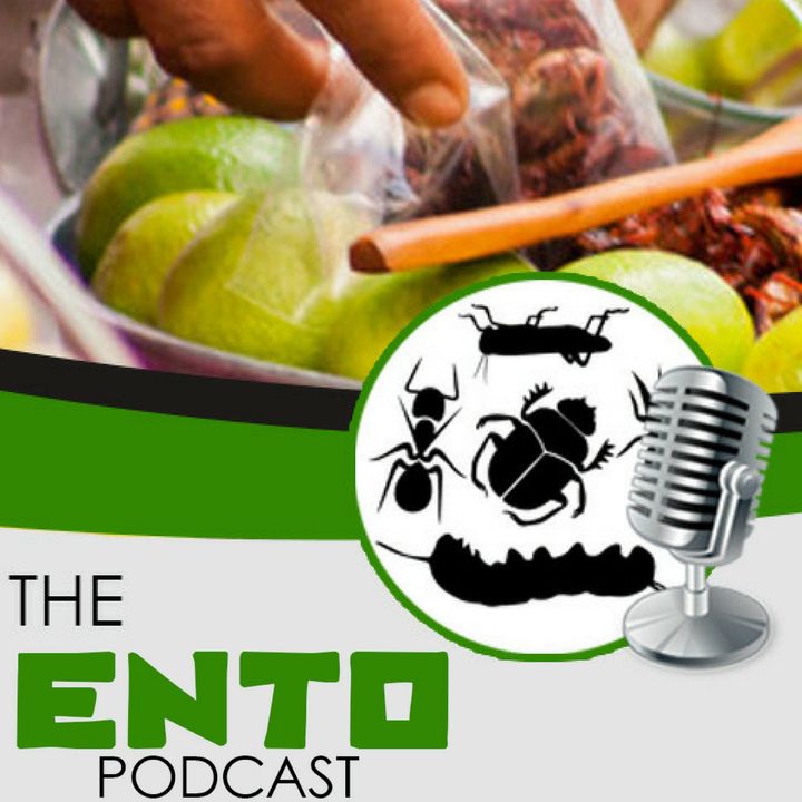 The Ento Podcast