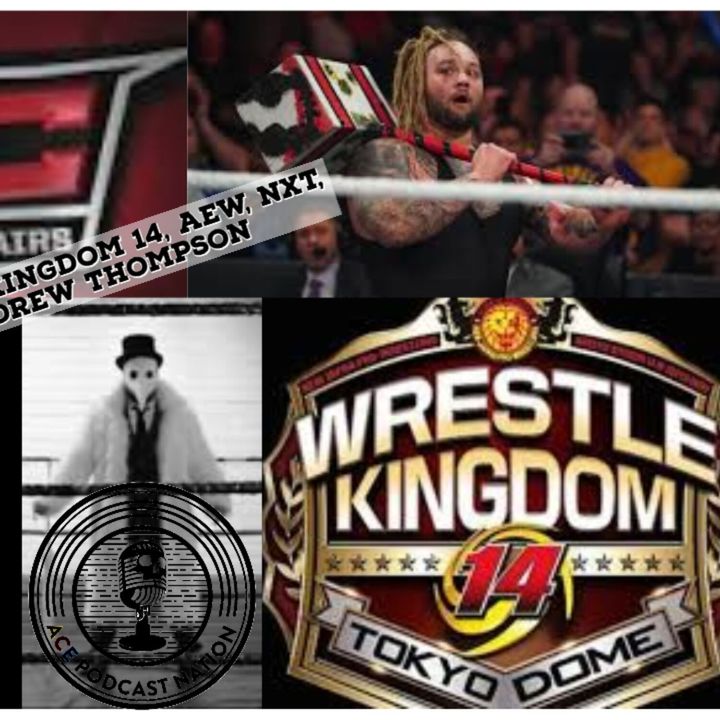 Wrestle Kingdom 14 | WWE TLC | Wrestling News Round Up #18