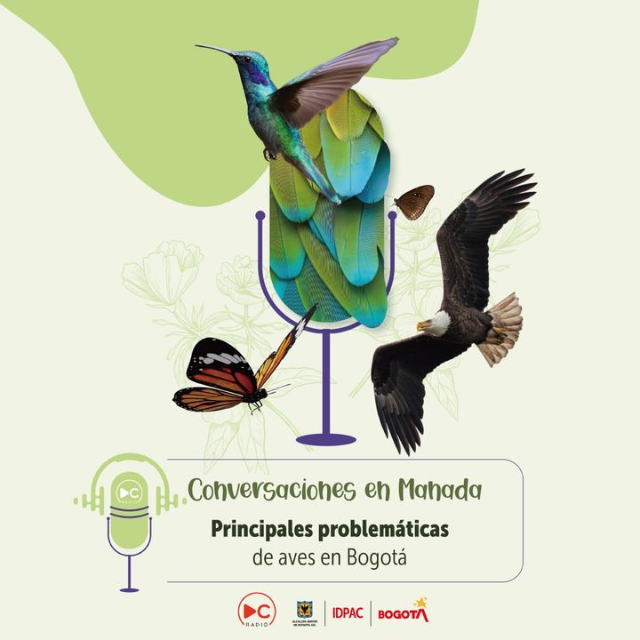 Principales problemáticas de aves en Bogotá