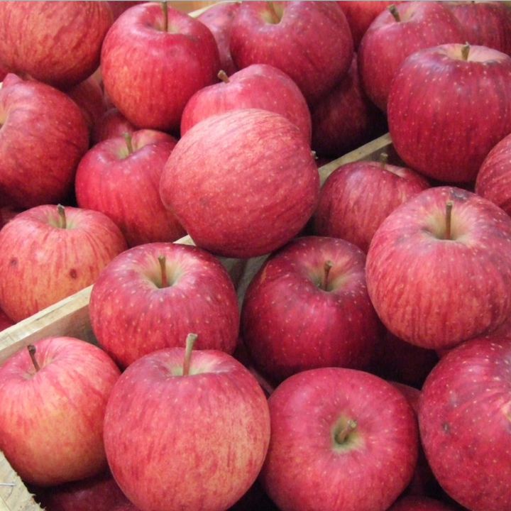 Noticias del sector: La producción europea de manzanas se situará un 10% por encima que en 2020