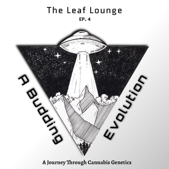 A Budding Evolution: A Journey Through Cannabis Genetics